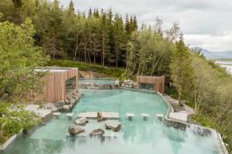 Forest Lagoon: Волшебный уголок Исландии